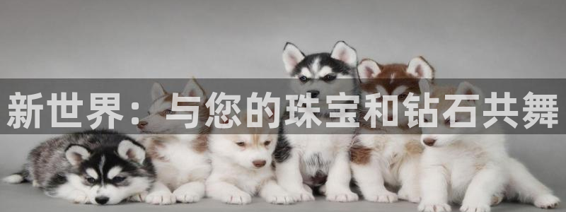 开丰娱乐主管家去判官333OO