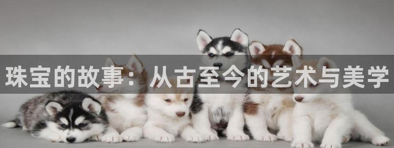 开丰娱乐平台登录网址：珠宝的故事：从古至今的艺术与美学