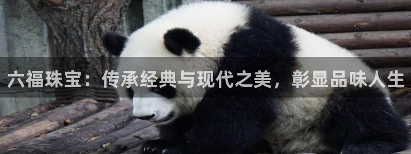 开丰娱乐官网电话：六福珠宝：传承经典与现代之美，彰显品味人生