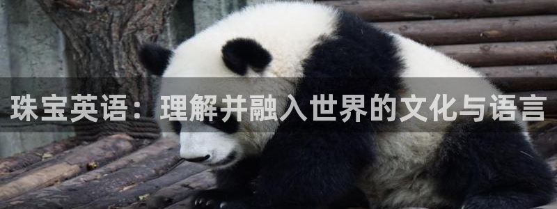 开丰娱乐平台地址在哪里：珠宝英语：理解并融入世界的文化与语言