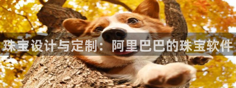 开丰娱乐下7O667：珠宝设计与定制：阿里巴巴的珠宝软件