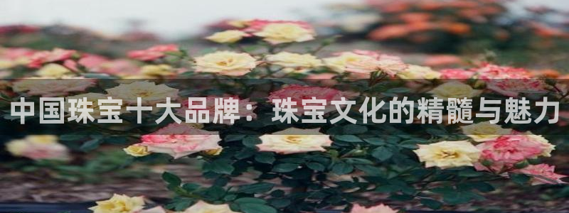 开丰娱乐与六七五一38：中国珠宝十大品牌：珠宝文化的精髓与魅力