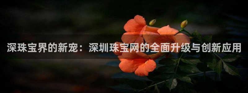 开丰娱乐登录官方网站：深珠宝界的新宠：深圳珠宝网的全面升级与创新应用