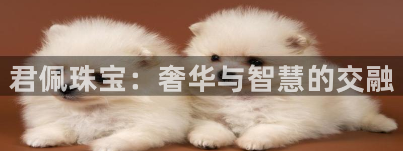 开丰娱乐注册登录不了：君佩珠宝：奢华与智慧的交融