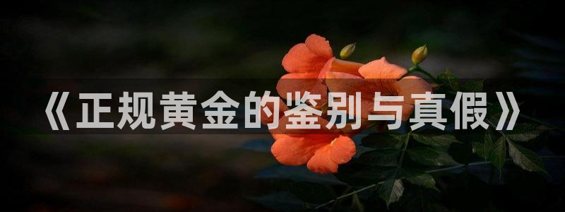 开丰娱乐注册系究耍333OO：《正规黄金的鉴别与真假》