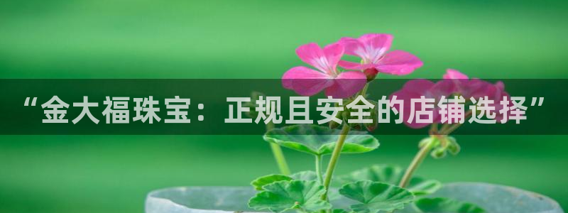 开丰娱乐登陆地址：“金大福珠宝：正规且安全的店铺选择”