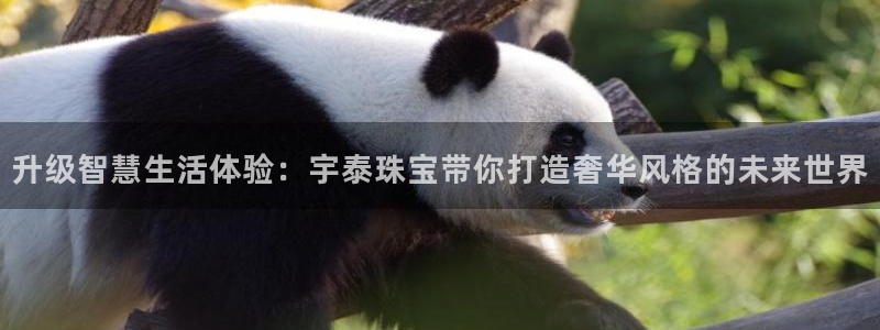 开丰娱乐67 5138：升级智慧生活体验：宇泰珠宝带你打造奢华风格的未来世界