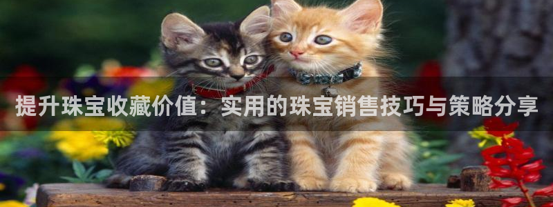 开丰娱乐登入：提升珠宝收藏价值：实用的珠宝销售技巧与策略分享