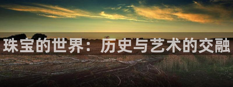 开丰娱乐平台地址电话：珠宝的世界：历史与艺术的交融