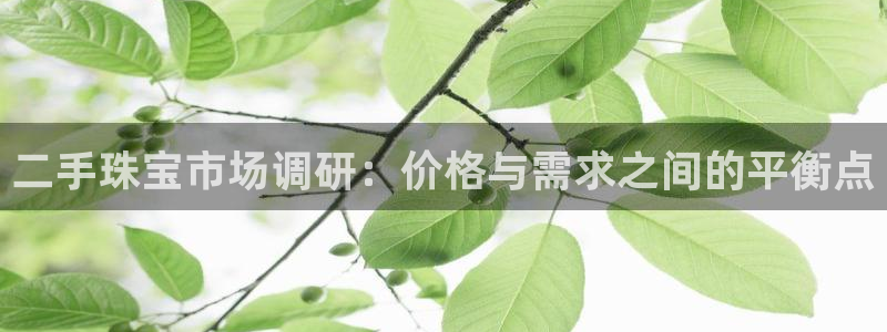 开丰娱乐日：二手珠宝市场调研：价格与需求之间的平衡点