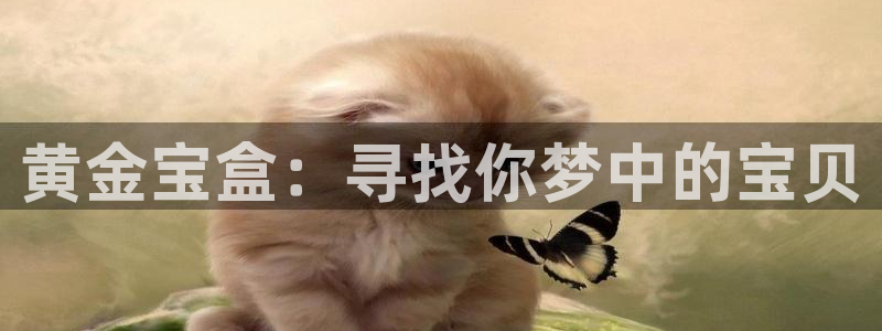 开丰娱乐下：黄金宝盒：寻找你梦中的宝贝