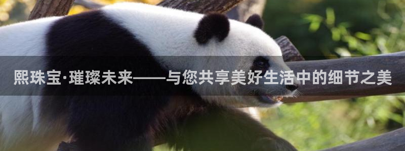 开丰娱乐注册：熙珠宝·璀璨未来——与您共享美好生活中的细节之美
