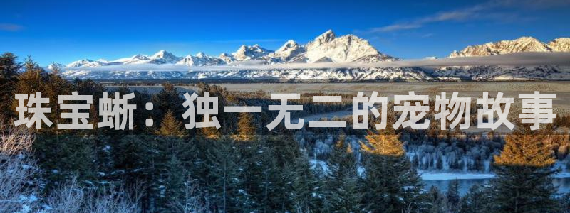 开丰娱乐平台登录：珠宝蜥：独一无二的宠物故事