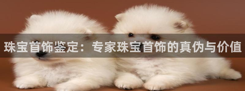 开丰娱乐平台地址在哪里：珠宝首饰鉴定：专家珠宝首饰的真伪与价值
