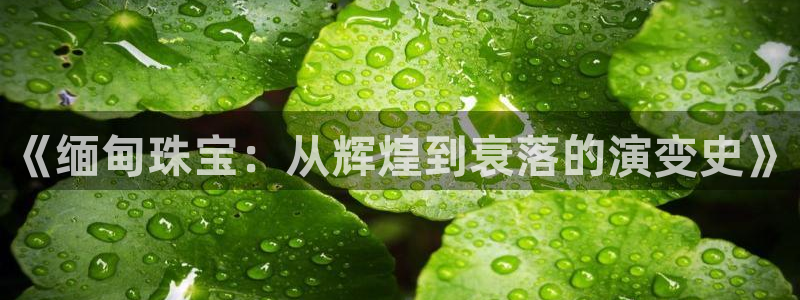 开丰娱乐网站官网：《缅甸珠宝：从辉煌到衰落的演变史》