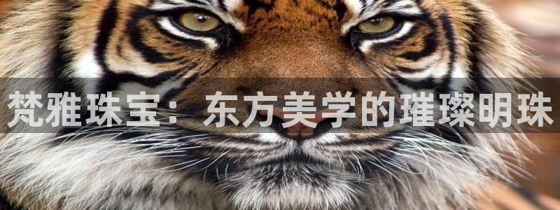 开丰娱乐登录官方网站：梵雅珠宝：东方美学的璀璨明珠