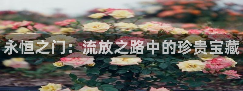 开丰娱乐2登录：永恒之门：流放之路中的珍贵宝藏