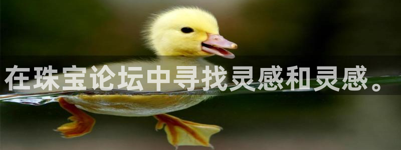 开丰娱乐登入地址在哪里：在珠宝论坛中寻找灵感和灵感。