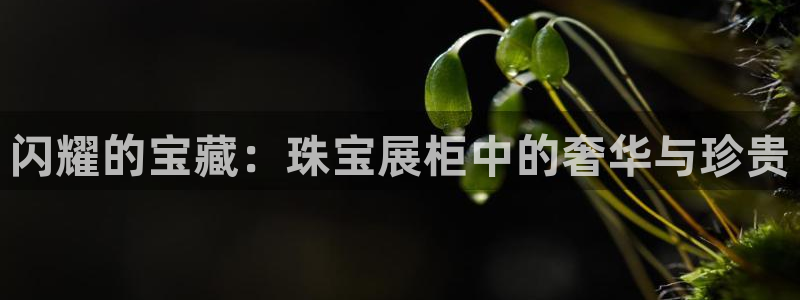 开丰娱乐登录网址：闪耀的宝藏：珠宝展柜中的奢华与珍贵