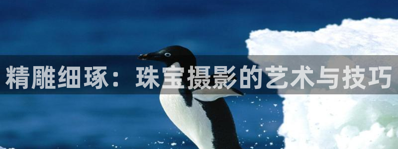 如何注册开丰娱乐账号：精雕细琢：珠宝摄影的艺术与技巧