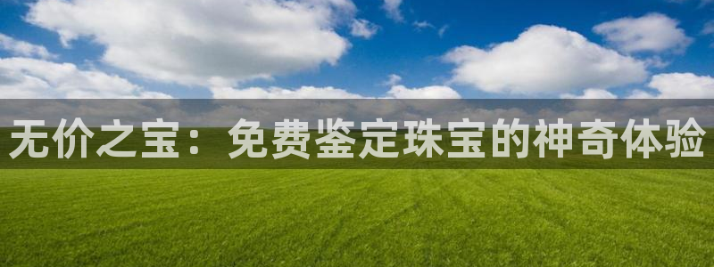 开丰娱乐平台注册时间：无价之宝：免费鉴定珠宝的神奇体验