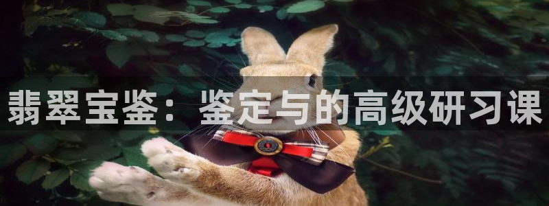 开丰娱乐前：翡翠宝鉴：鉴定与的高级研习课