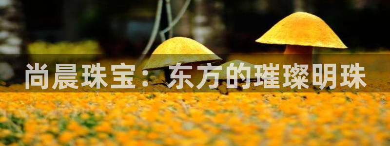 开丰娱乐怎么样：尚晨珠宝：东方的璀璨明珠