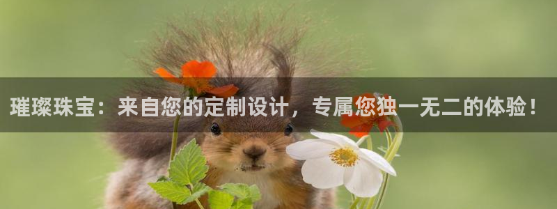 开丰娱乐注册系究耍333OO：璀璨珠宝：来自您的定制设计，专属您独一无二的体验！