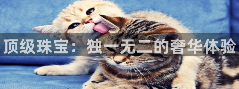 开丰娱乐前：顶级珠宝：独一无二的奢华体验