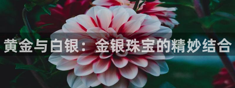 开丰娱乐登录官方网站：黄金与白银：金银珠宝的精妙结合