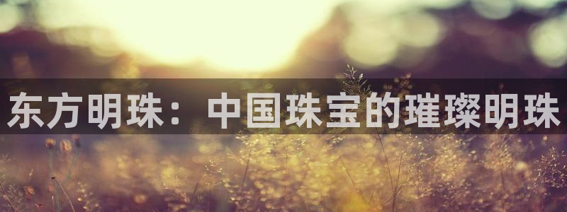 开丰娱乐登录官方网站：东方明珠：中国珠宝的璀璨明珠