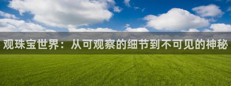 开丰娱乐网站：观珠宝世界：从可观察的细节到不可见的神秘