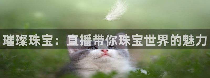 开丰娱乐会员中心：璀璨珠宝：直播带你珠宝世界的魅力