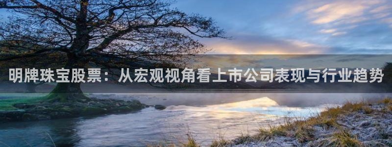 开丰娱乐 赢咖一：明牌珠宝股票：从宏观视角看上市公司表现与行业趋势