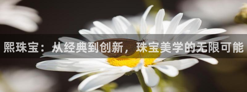 开丰娱乐登录平台：熙珠宝：从经典到创新，珠宝美学的无限可能