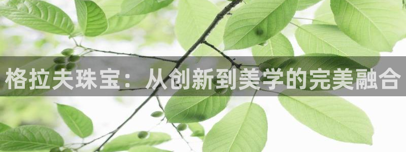 开丰娱乐官网平台：格拉夫珠宝：从创新到美学的完美融合