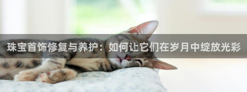 开丰娱乐官网平台登录：珠宝首饰修复与养护：如何让它们在岁月中绽放光彩