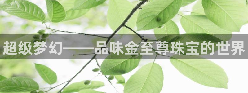 开丰娱乐怎么开转点：超级梦幻——品味金至尊珠宝的世界