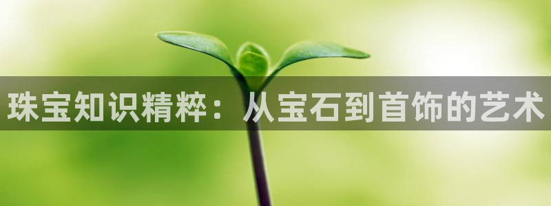 开丰娱乐登入：珠宝知识精粹：从宝石到首饰的艺术