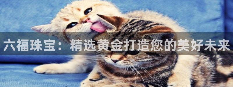 开丰娱乐若七九九：六福珠宝：精选黄金打造您的美好未来