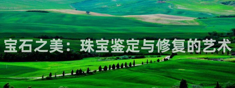 开丰娱乐乙833_43：宝石之美：珠宝鉴定与修复的艺术