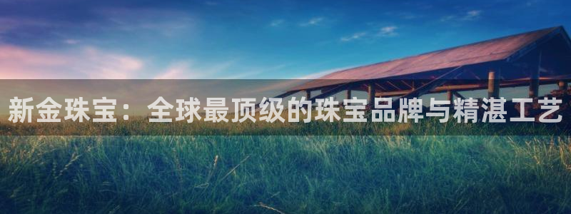 开丰娱乐平台地址在哪里：新金珠宝：全球最顶级的珠宝品牌与精湛工艺