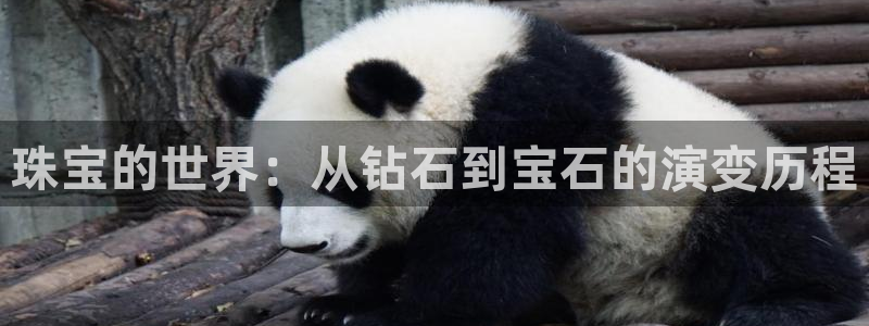 开丰娱乐登入地址在哪：珠宝的世界：从钻石到宝石的演变历程