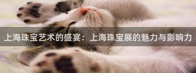 开丰娱乐天：上海珠宝艺术的盛宴：上海珠宝展的魅力与影响力