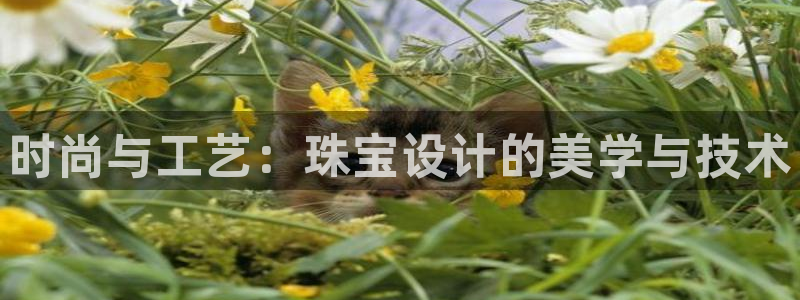 开丰娱乐平台地址在哪里：时尚与工艺：珠宝设计的美学与技术