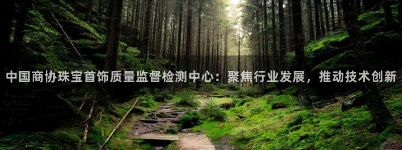 开丰娱乐登入地址在哪查：中国商协珠宝首饰质量监督检测中心：聚焦行业发展，推动技术