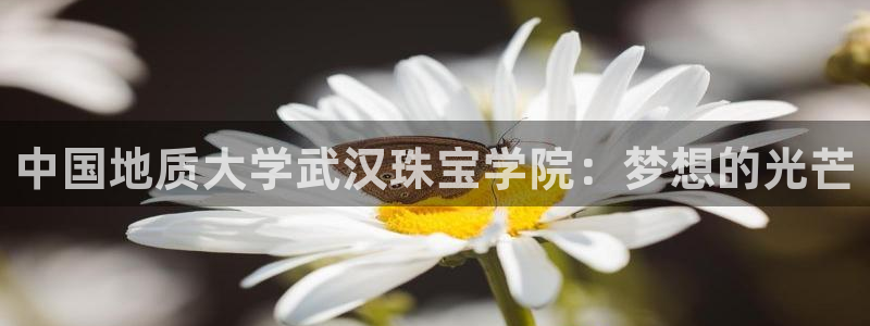 开丰娱乐更多平台：中国地质大学武汉珠宝学院：梦想的光芒