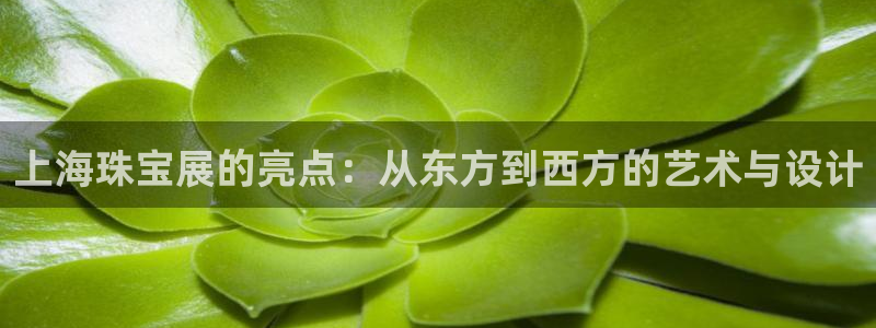 开丰娱乐寸六七五一38：上海珠宝展的亮点：从东方到西方的艺术与设计