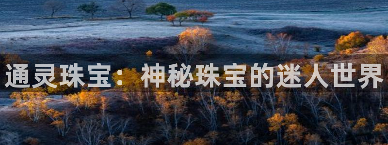 开丰娱乐网站：通灵珠宝：神秘珠宝的迷人世界