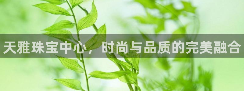 开丰娱乐行业恢复时间：天雅珠宝中心，时尚与品质的完美融合